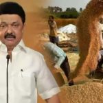 தமிழ்நாடு