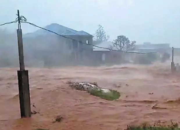 உலக செய்திகள்