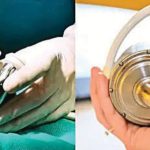 ஞாயிறு மலர்