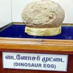 மற்றவை