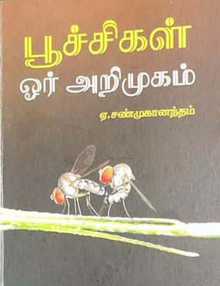 மரங்கொத்தி