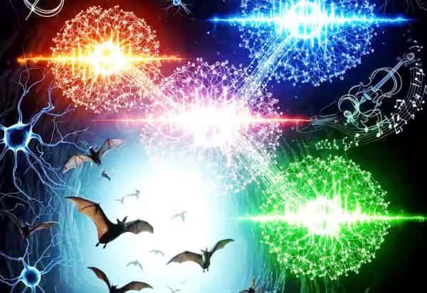 அறிவியல் அரங்கம்