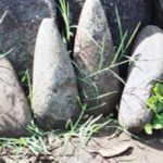 தமிழ்நாடு