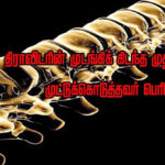 பெரியார் ஒடிடி செய்திகள்