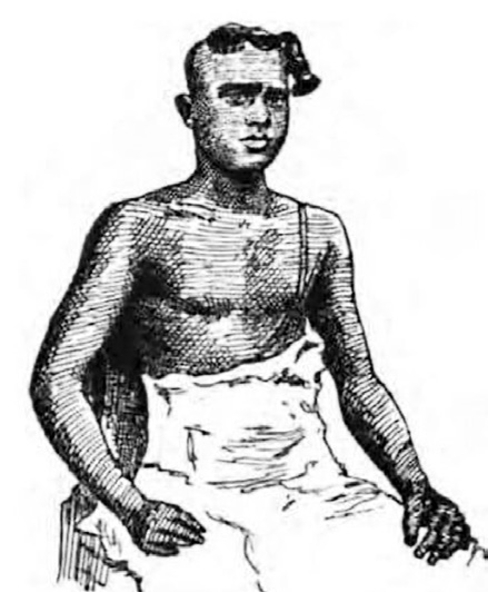 ஞாயிறு மலர்