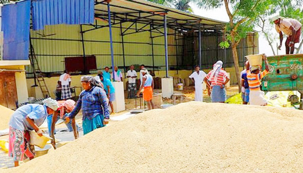 தமிழ்நாடு