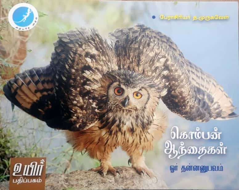 பூச்சி உலகம் – ஒரு புதிய உலகம் – புரிந்து கொள்வீர்! வாழ்வியல் சிந்தனைகள்