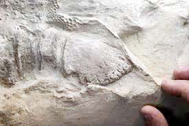 உலக செய்திகள்