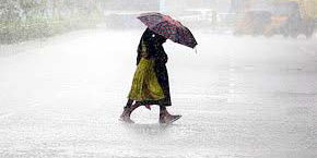 தமிழ்நாடு