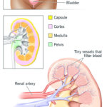 மருத்துவம்