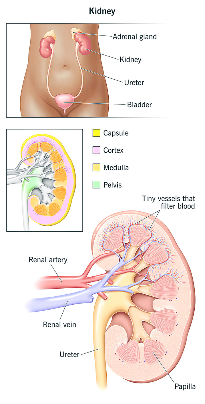மருத்துவம்