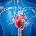 இந்தியா