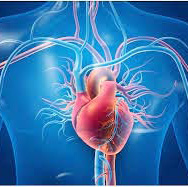 உலக செய்திகள்