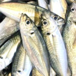 தமிழ்நாடு