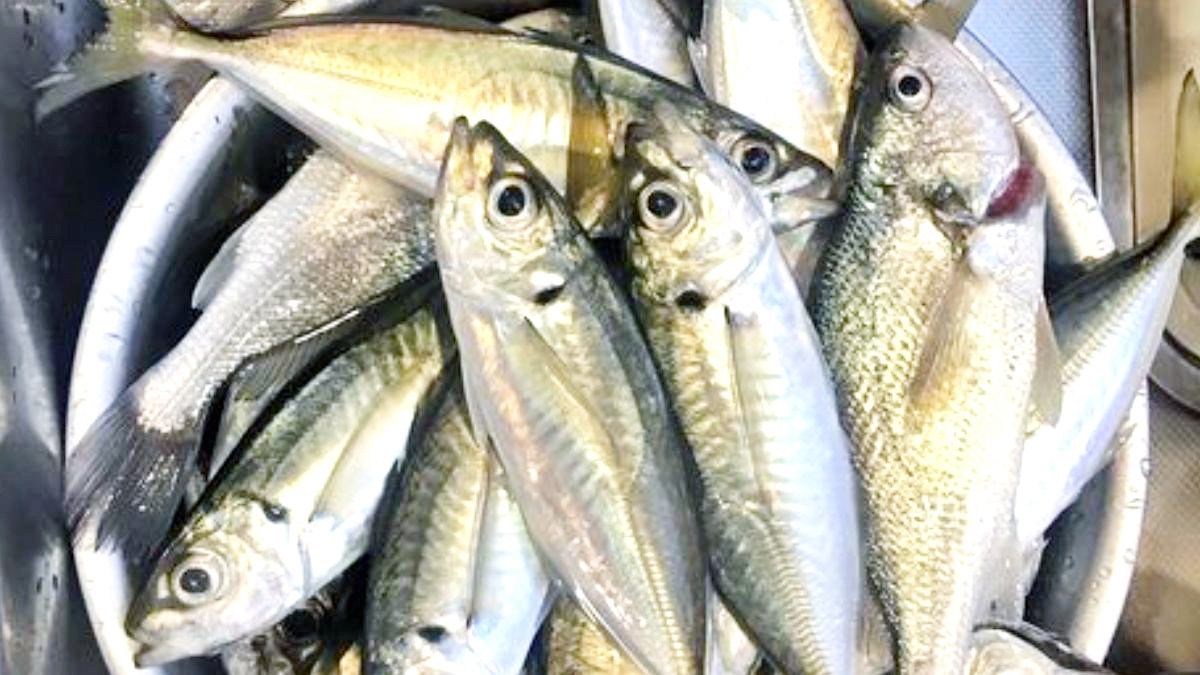 தமிழ்நாடு