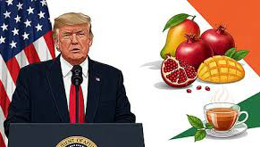 உலக செய்திகள்