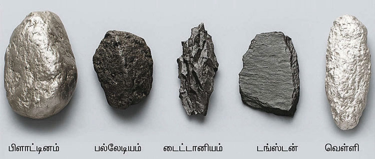 ஞாயிறு மலர்