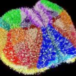 தமிழ்நாடு