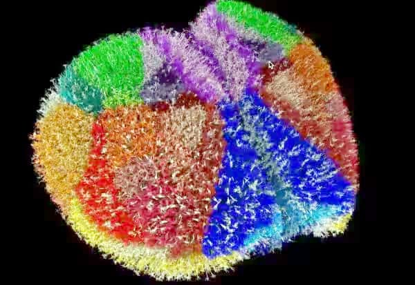 அறிவியல் அரங்கம்