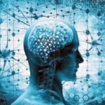 தமிழ்நாடு