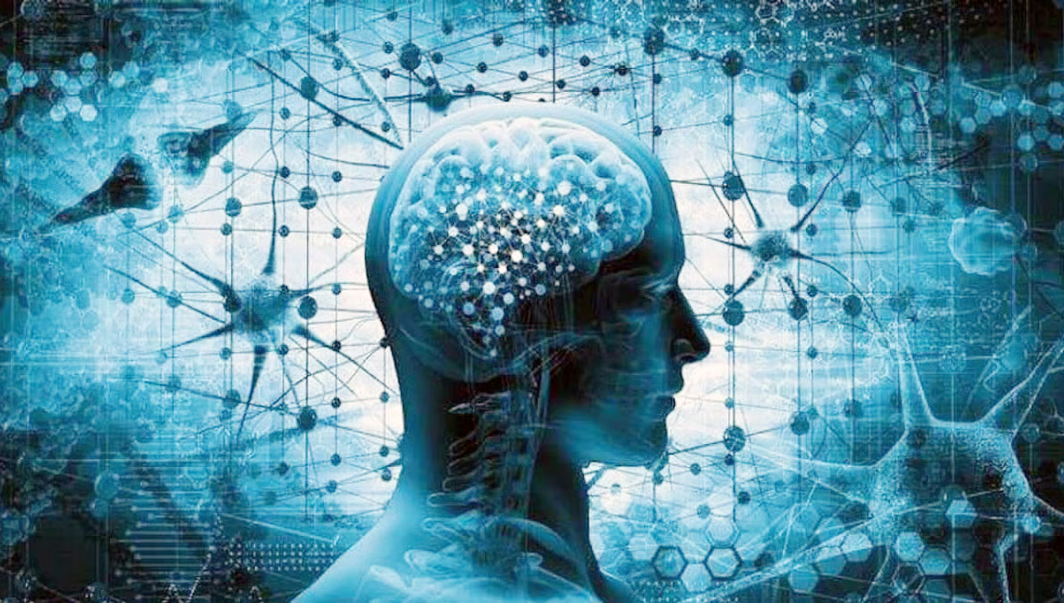 திராவிடர் கழகம்