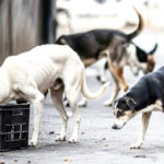 இந்தியா