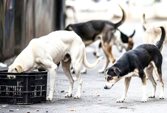 இந்தியா