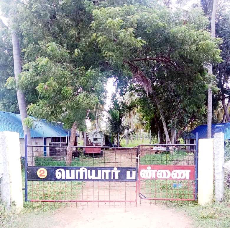 ஞாயிறு மலர்