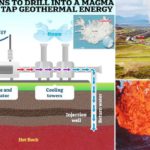 ஆசிரியர் விடையளிக்கிறார், ஞாயிறு மலர்