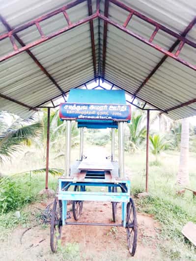 ஞாயிறு மலர்