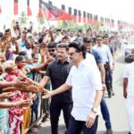 கட்டுரை, ஞாயிறு மலர்