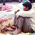 கட்டுரை, ஞாயிறு மலர்