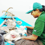 இந்தியா