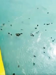 தமிழ்நாடு