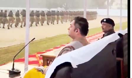 கட்டுரை, ஞாயிறு மலர்