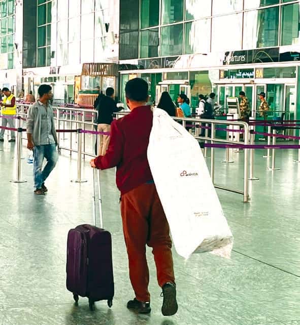 ஞாயிறு மலர்