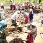 ஞாயிறு மலர், நூல் அறிமுகம்