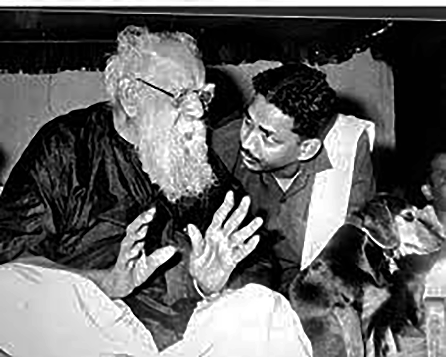 ஞாயிறு மலர்