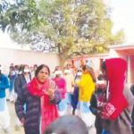 கட்டுரை, ஞாயிறு மலர்