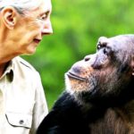 தமிழ்நாடு