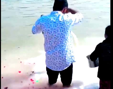 கட்டுரை, ஞாயிறு மலர்