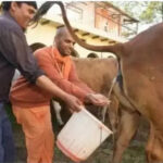 அரசியல்