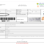 அரசியல்