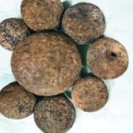 திராவிடர் கழகம்