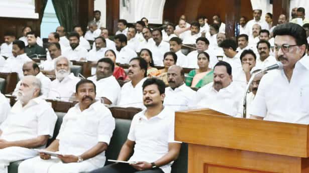 சட்ட விதி