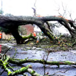 நன்கொடை