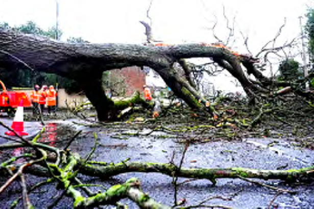 சந்திரா’ புயல்