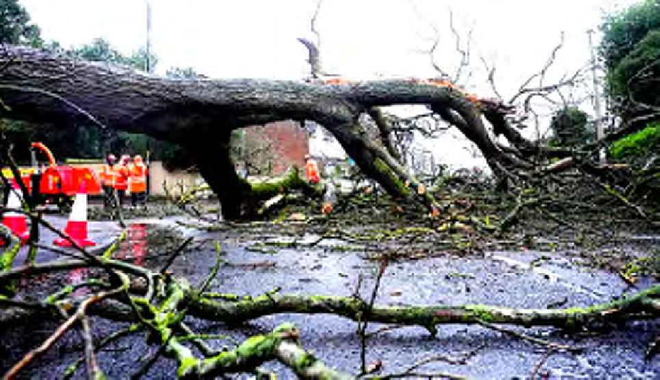 தமிழ்நாடு