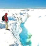 அரசியல்