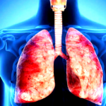 தமிழ்நாடு